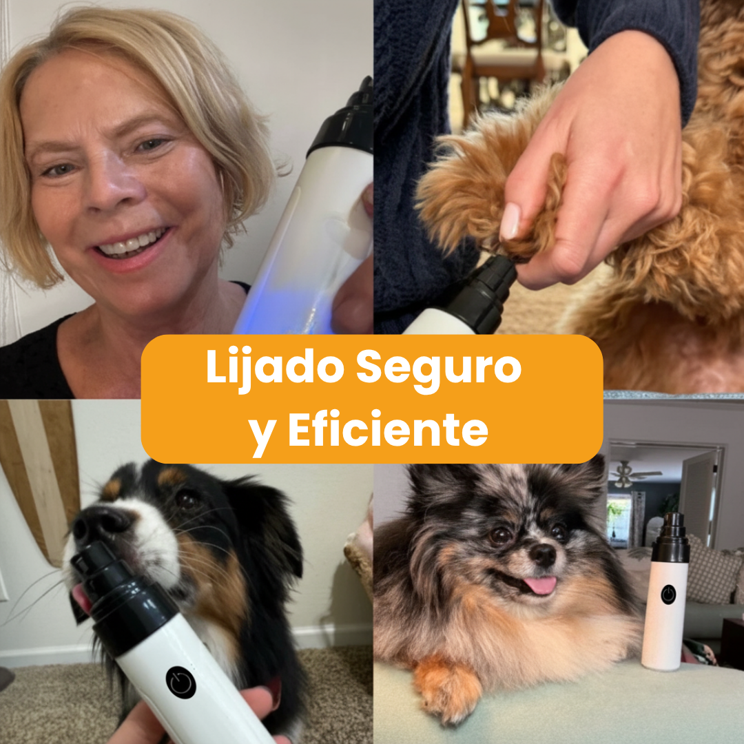 PrecisionPaw Pro