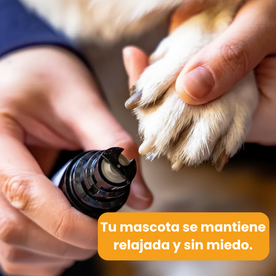 PrecisionPaw Pro