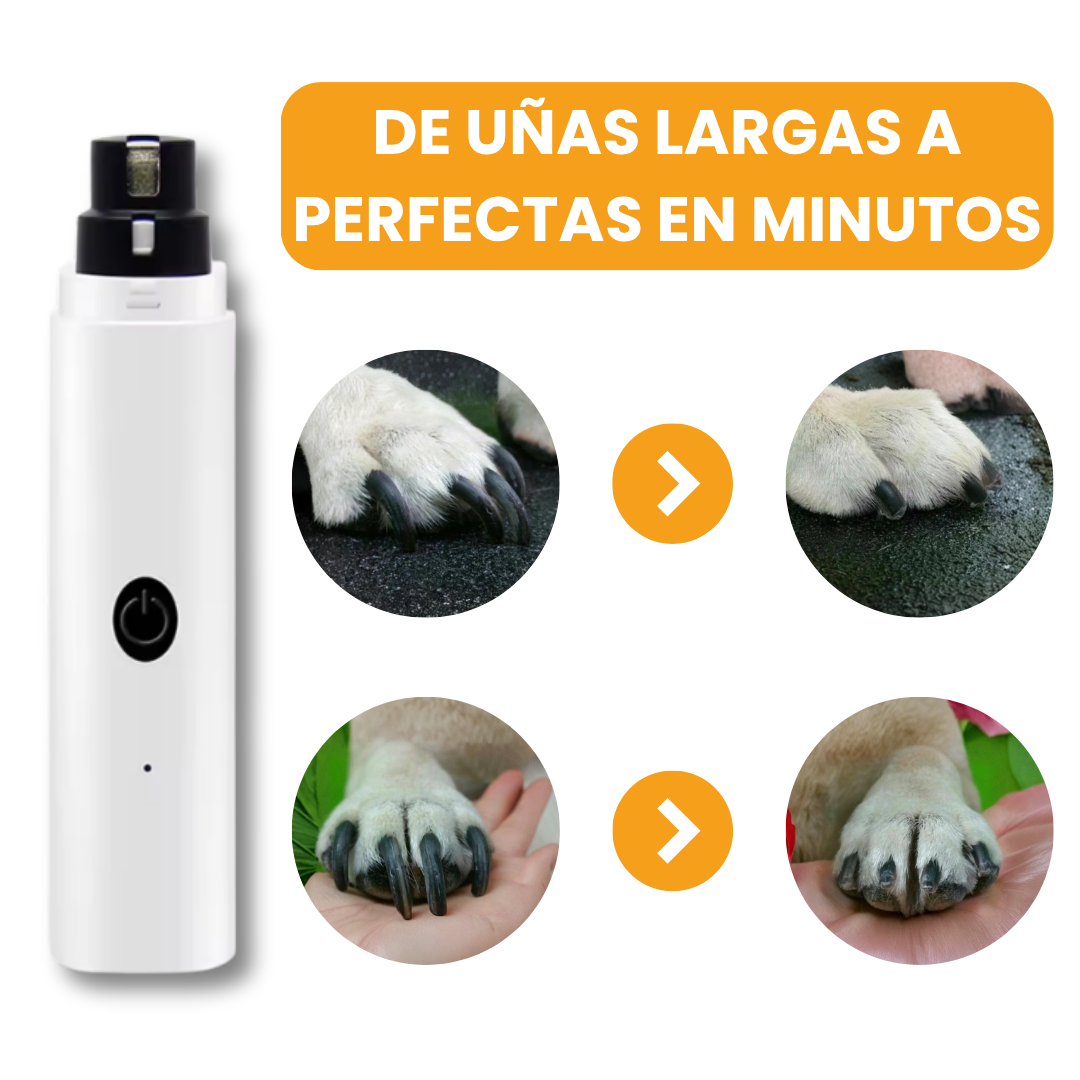 PrecisionPaw Pro