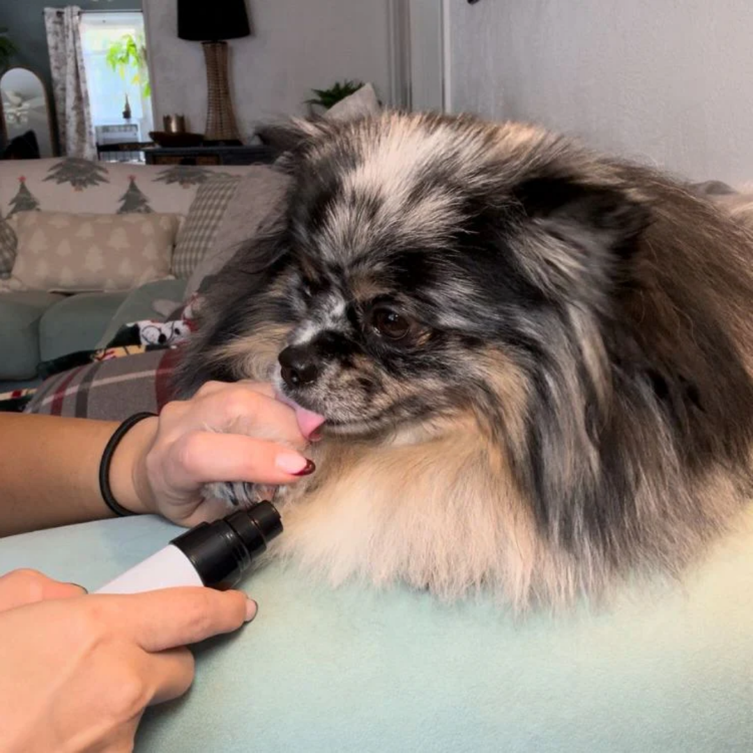 PrecisionPaw Pro