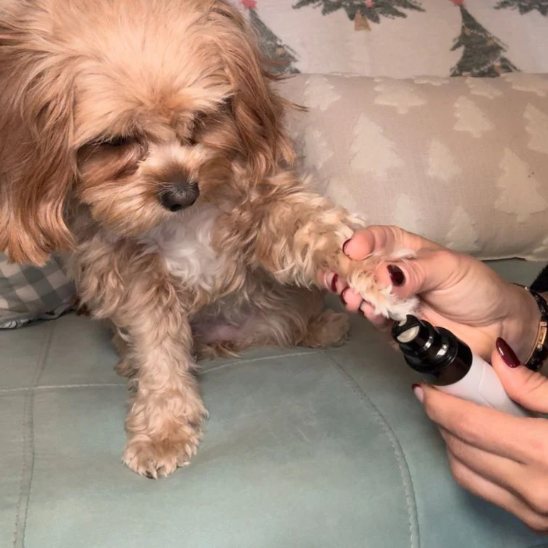 PrecisionPaw Pro